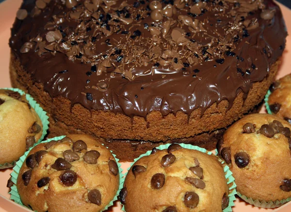 stock image A chocolate sponge cake