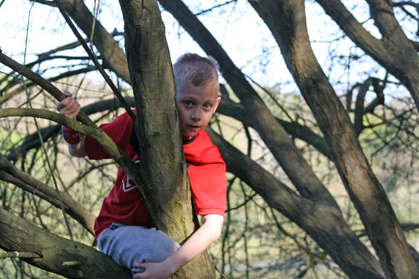 Adolescent garçon dans l 'forêt — Photo