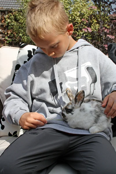 Tavşan ile çocuk — Stok fotoğraf