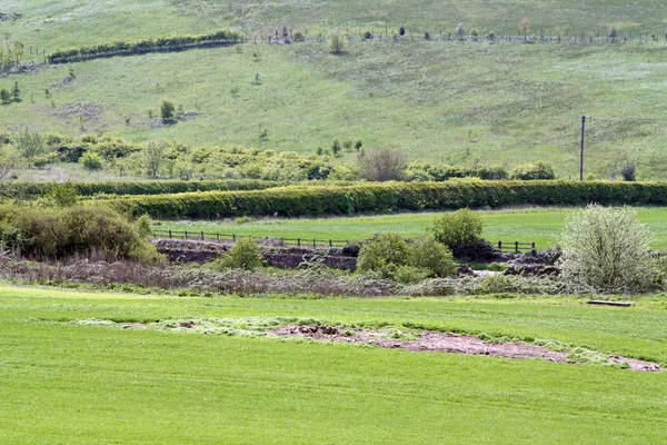 stock image Beautiful english countryside