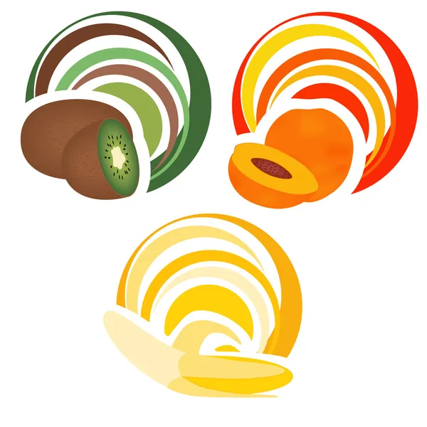 Plody se dekorace — Stockový vektor