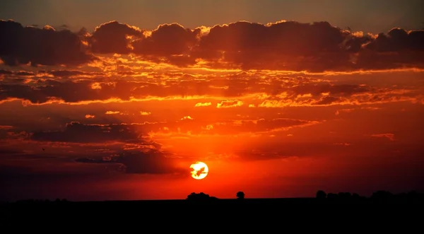 Magnifico cielo al tramonto — Foto Stock