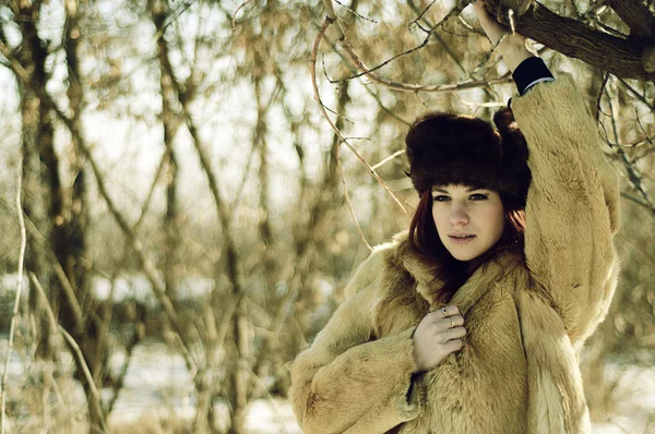Zimní portrét sexy ženy Stock Snímky