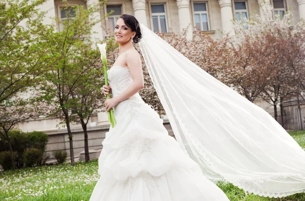 Donna abito da sposa velo — Foto Stock