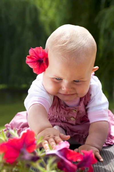 Bebé niña alcanzando flores — Foto de Stock