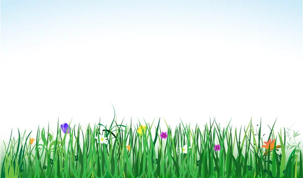 Bannière de printemps — Image vectorielle