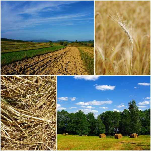 Polish countryside — Stock Photo, Image