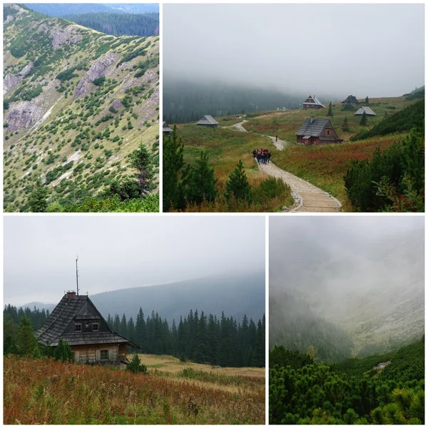 Montanhas Tatra Fotos De Bancos De Imagens Sem Royalties