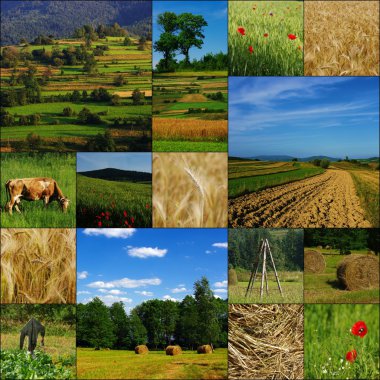 Countryside, farming, growing clipart