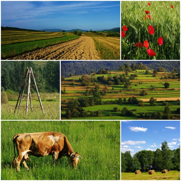 Polish countryside — Stock Photo, Image