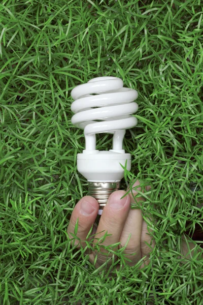 Lâmpada de poupança de energia na mão em um fundo de grama verde — Fotografia de Stock
