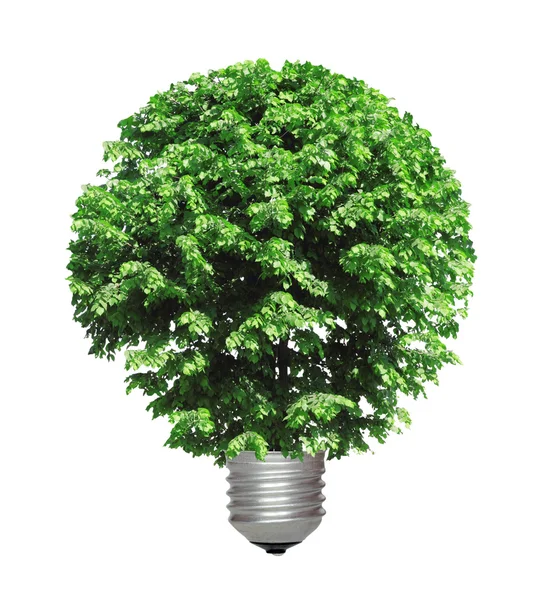 Árvore que cresce a partir da base da lâmpada — Fotografia de Stock