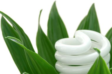 Energy saving light bulb on green plant clipart