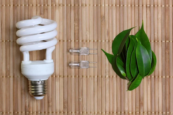 Концепция экологической энергии с лампочкой — стоковое фото