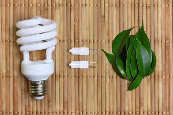 Ökoenergiekonzept mit Glühbirne lizenzfreie Stockbilder