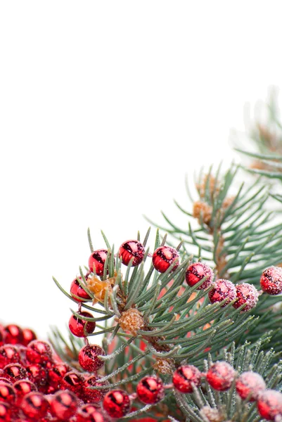 Adornos navideños con rama de árbol sobre blanco — Foto de Stock