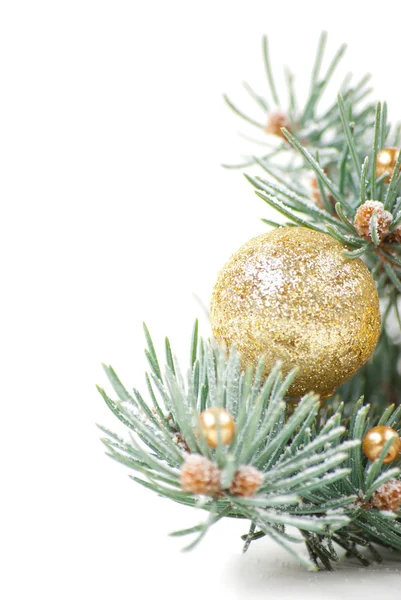Decorações de Natal com ramo de árvore em branco — Fotografia de Stock