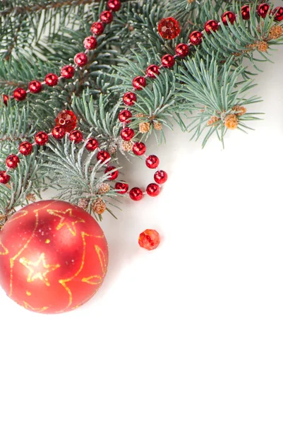 Boże Narodzenie dekoracje z gałęzi drzewa — Zdjęcie stockowe