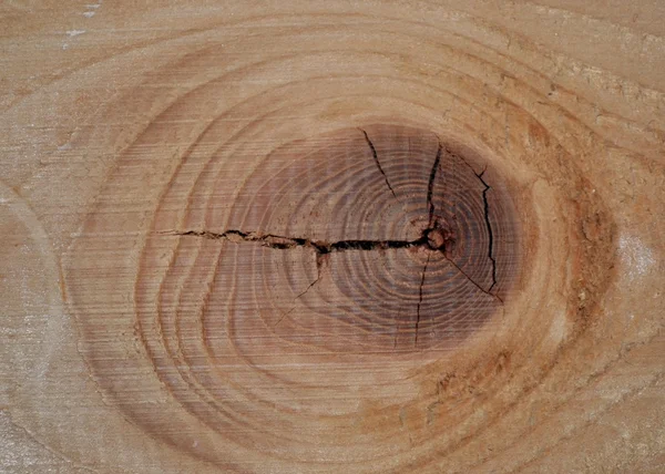 La parte de la madera — Foto de Stock