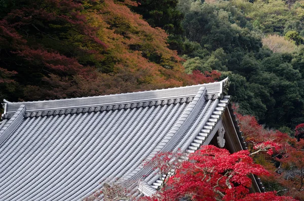 Japanese temple roof in autumn — Stock Photo, Image