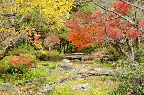 Japonský park na podzim — Stock fotografie