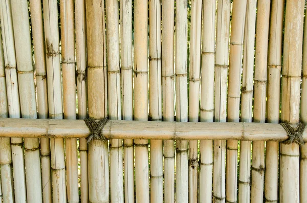 栅栏用竹子做的 — 图库照片