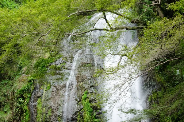 Води падіння на Мина Quasi заповідник в Японії — стокове фото