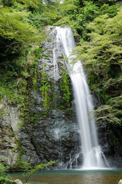 stock image Water fall at the Mino Quasi National Park in Japan