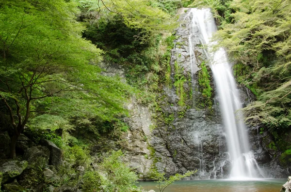 Cascata d'acqua al Parco Nazionale Mino Quasi in Giappone — Foto Stock