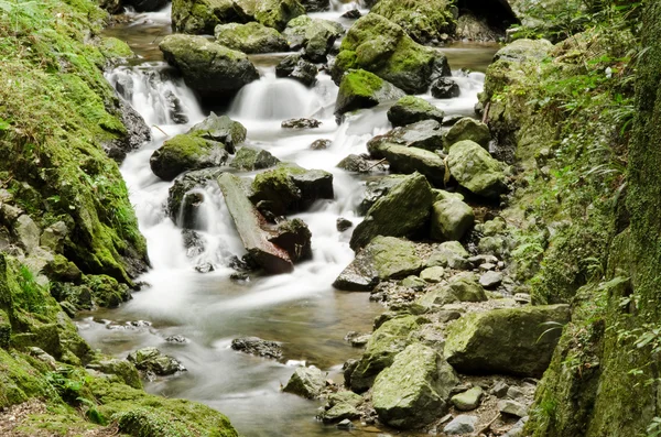 Detail of a wild river — Stock Photo, Image