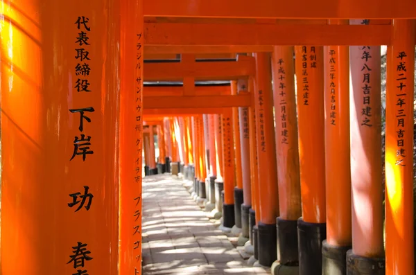 Torii gates bij inari schrijn in kyoto — Stockfoto