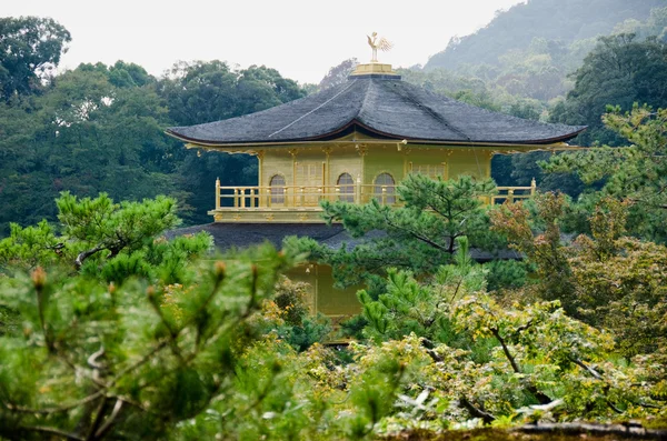 Świątyni Kinkakuji — Zdjęcie stockowe