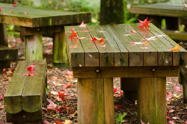 Hojas rojas sobre mesa de madera —  Fotos de Stock