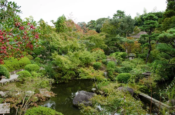 Japán kert — Stock Fotó