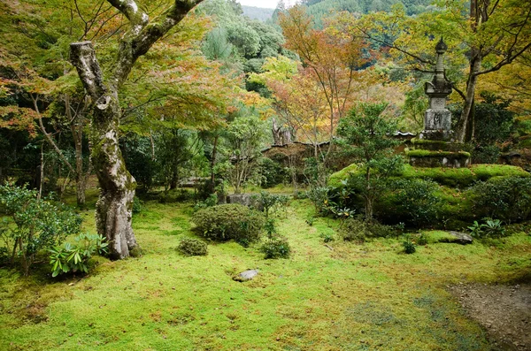 Japonská zahrada — Stock fotografie