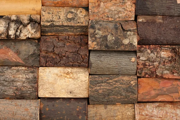 Bark of different trees, background — Stock Image Bark of different trees, background Royalty Free Stock Images