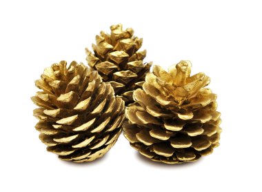 Golden pine cones clipart