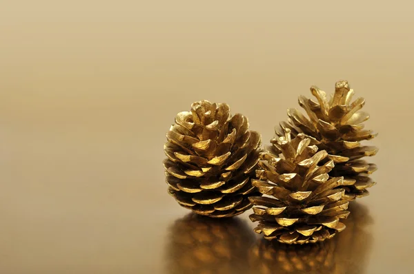Golden pine cones — Stock Photo, Image