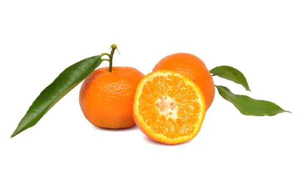 Two mandarins — Stock Photo, Image