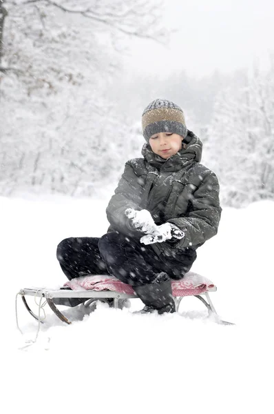 Boy on a sled — Stock Photo, Image