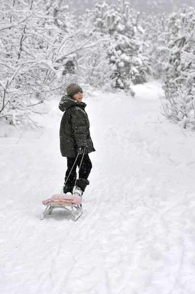 Boy walking with sleds — Stock Photo, Image