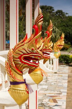 chalong temple, phuket, thaila altın naga (dragon) rakamlar