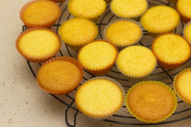 Freshly backed cupcakes on a backing rack. Shallow depth of field clipart