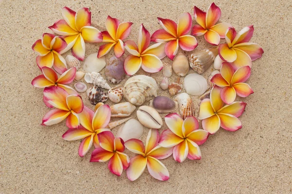 Blomsterramme av Frangipani / plumeria, med trykk av hjerte, på sand – stockfoto