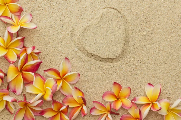 Moldura de flor de Frangipani / plumeria, com impressão de coração, sobre areia — Fotografia de Stock