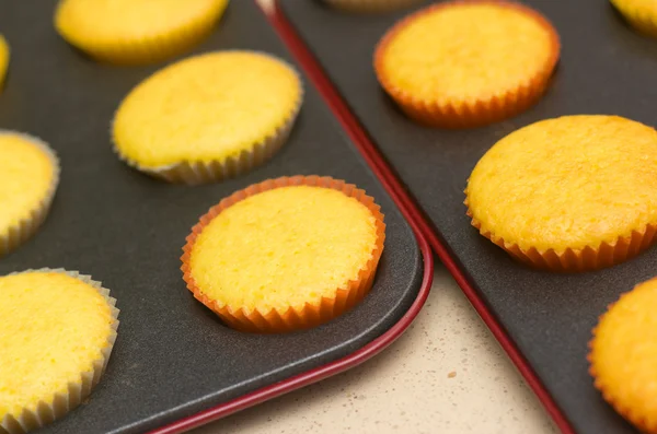 Freshly backed cupcakes on a backing tray. Shallow depth of fiel — Stock Photo, Image
