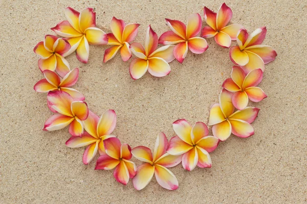 Frangipani / plumeria moldura de flores em forma de coração na areia — Fotografia de Stock