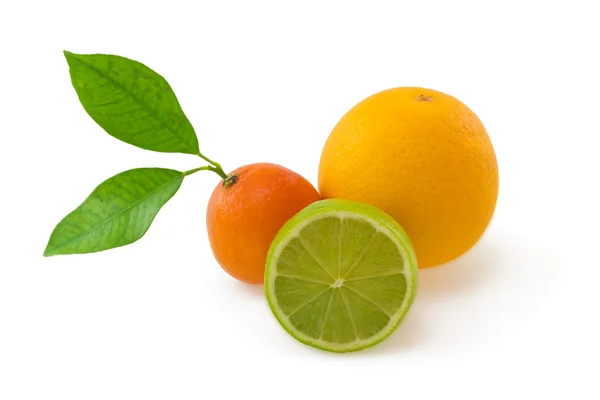 Orange, lime and mandarin isolated on white — Stock Photo, Image