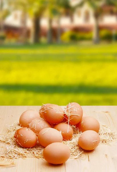 Aldea eggs.jpg —  Fotos de Stock