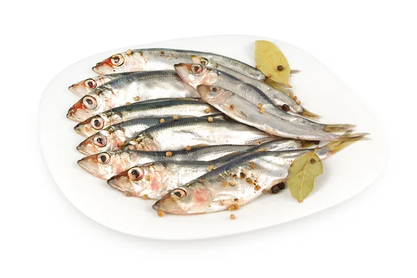 Sprat salt and spices on a plate — Stock Photo, Image